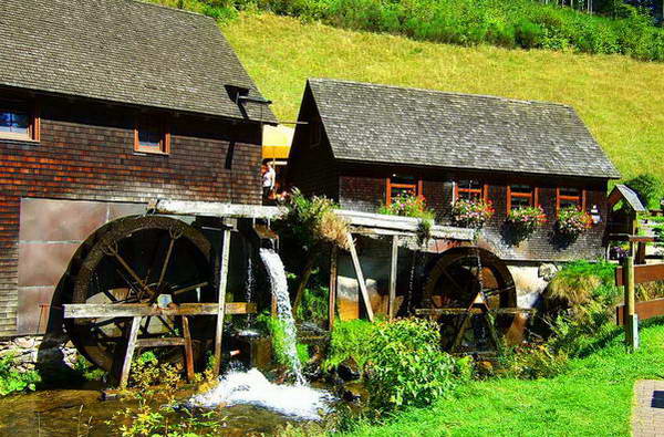 חור המכשפה ביער השחור